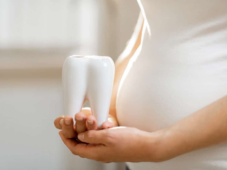 pregnant woman holds a large porcelain tooth against her round belly