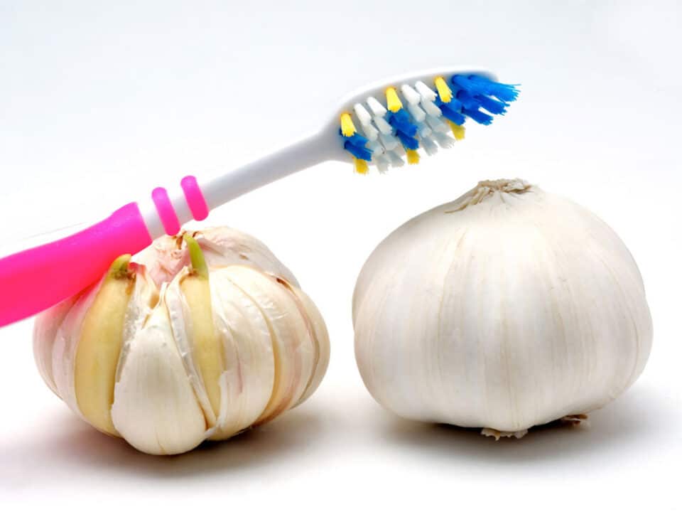 a toothbrush lies across two pieces of garlic to represent bad breath halitosis