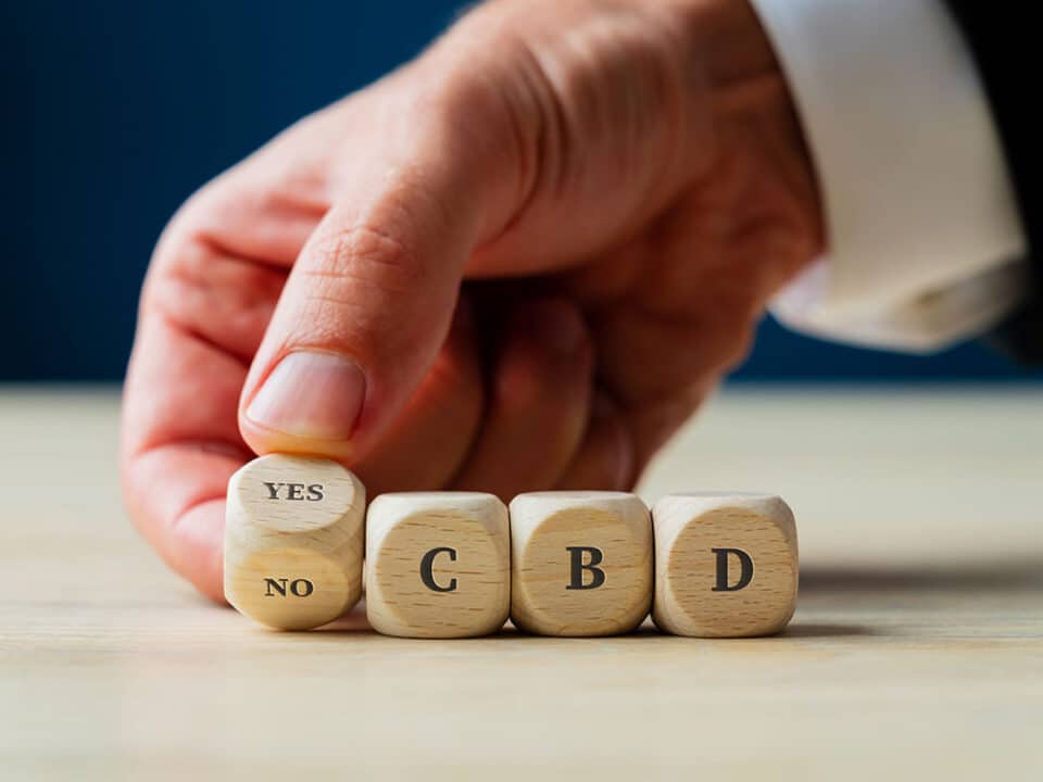 a photo of some letter cubes spelling out CBD to allude to the question of can cbd alleviate dental anxiety