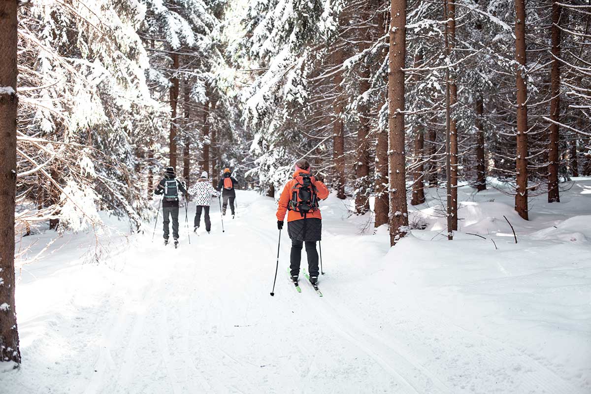 photo of a woman cross country skiing in hamilton ontario woods