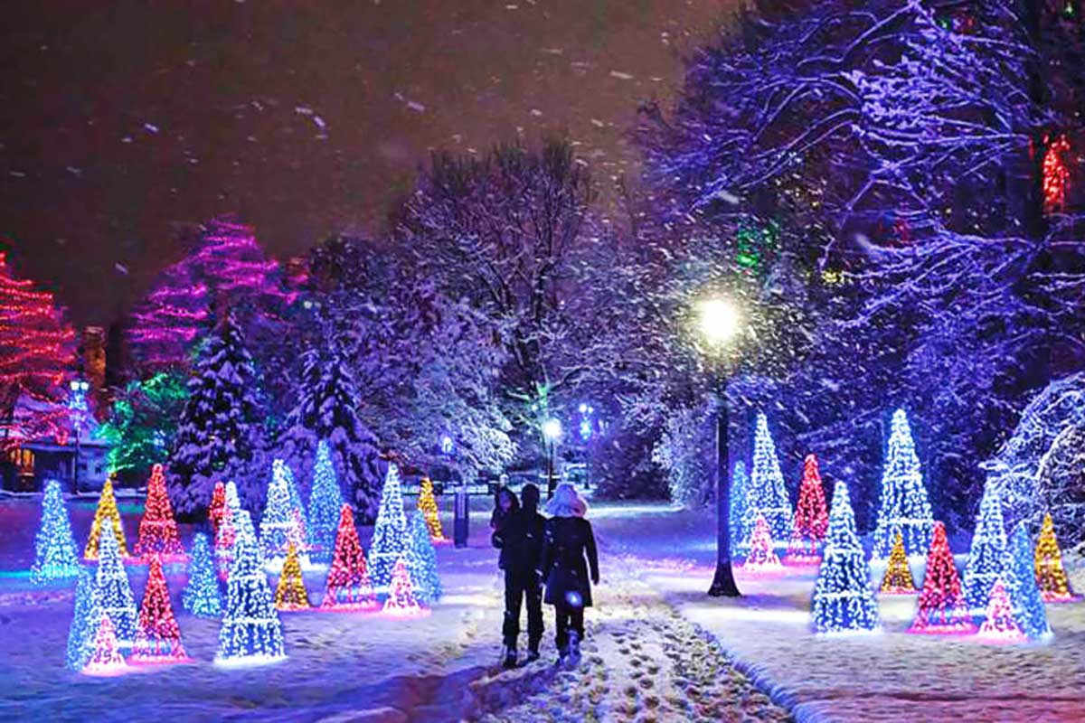 photo showing a family walking through one of the exhibits at the light it up winter festival in hamilton