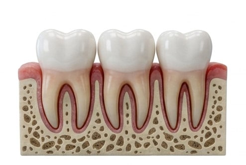 Normally erupted wisdom tooth